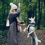 Ersteller:in Laura Profilbild