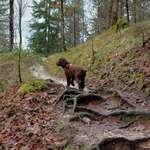 Ersteller:in Sara Profilbild