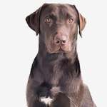 Ersteller:in Marcel Profilbild