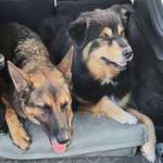 Ersteller:in TOM Fs Profilbild