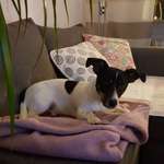 Ersteller:in Angelika Profilbild