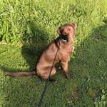 Ersteller:in Beatrice Profilbild