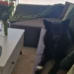 Ersteller:in Annika Profilbild