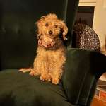 Ersteller:in Tomtommytomtom Profilbild