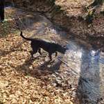 Ersteller:in Franzi Profilbild