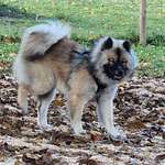 Ersteller:in Manuela Profilbild