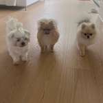 Ersteller:in Nicole Profilbild