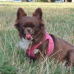 Ersteller:in Manuela Profilbild