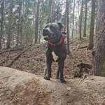 Ersteller:in Mandy Profilbild