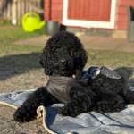 Ersteller:in Marvin Profilbild