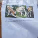 Suchmeldung-Marly-Bild