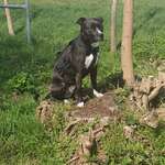 Ersteller:in Michelle Profilbild