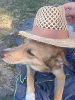 Rote Nase-Beitrag-Bild