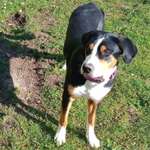 Ersteller:in Jan Profilbild