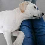 Ersteller:in Katrin Profilbild