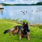 Ersteller:in Anja Profilbild