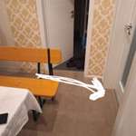 Diva nach der Läufigkeit-Beitrag-Bild