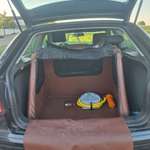 Hundebox oder Hundesitz mit Gurt? Wo plazierst du deinen Hund im Auto?-Beitrag-Bild