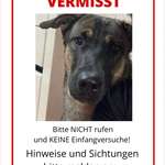 Suchmeldung-Bruno-Bild