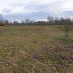 Hundeauslaufgebiet-Stendal-Bild