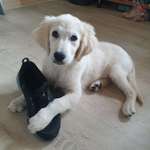 Ersteller:in Sabrina Profilbild