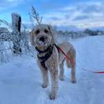 Ersteller:in Jasmin Profilbild