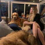 Ersteller:in Noemi Eliza Profilbild