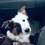 Ersteller:in Juli Profilbild