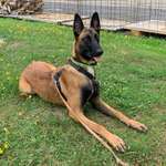 Ersteller:in Victoria Profilbild