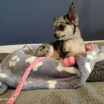 Ersteller:in Irina Profilbild