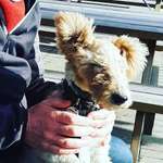 Ersteller:in Elly Profilbild