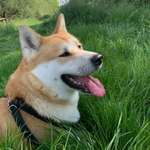 Ersteller:in David Profilbild