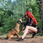 Ersteller:in Steffi Profilbild