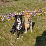 Ersteller:in Julia Profilbild