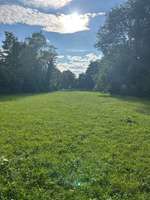 Hundeauslaufgebiet-Hundewiese Karlsfeld-Bild