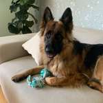 Ersteller:in Pilar Profilbild