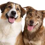 Ersteller:in Marco Profilbild