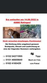 Suchmeldung-Era-Bild