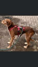 Suchmeldung-Era-Bild