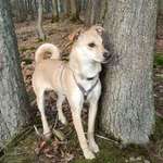 Ersteller:in Grit-Anju Profilbild