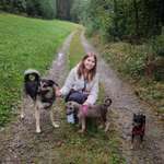 Ersteller:in Anja Profilbild