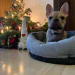 Ersteller:in Laura Profilbild