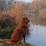 Ersteller:in Bibiane Profilbild