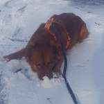 Ersteller:in Bibiane Profilbild