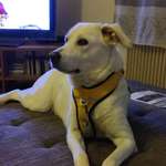 Ersteller:in Simone Profilbild