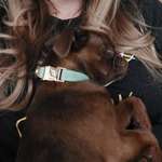 Ersteller:in Nicole Profilbild