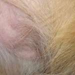 Weiß jemand, was das sein kann?-Beitrag-Bild