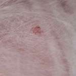 Weiß jemand, was das sein kann?-Beitrag-Bild