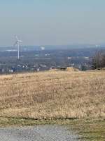 Hundeauslaufgebiet-Halde Norddeutschland-Bild