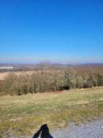 Hundeauslaufgebiet-Halde Norddeutschland-Bild